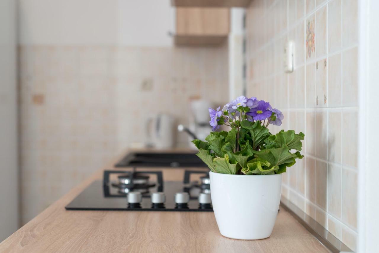 Luxury Apartment With Garden Jacuzzi And Wellness 트로기르 외부 사진